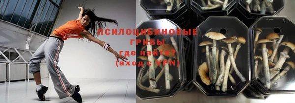 PSILOCYBIN Волоколамск