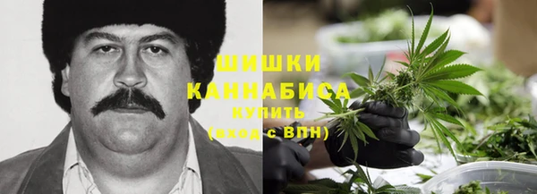 МДПВ Волосово