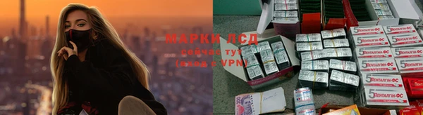 гидропоника Володарск