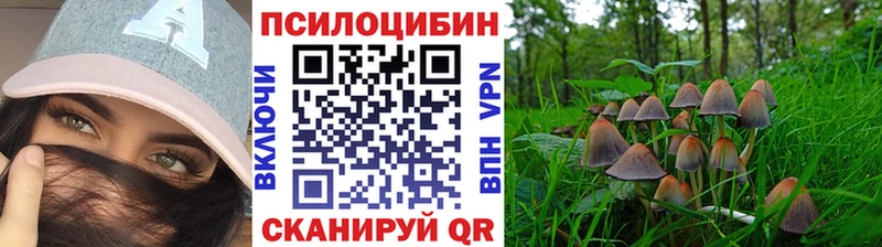 Купить закладки  Нефтегорск  Псилоцибиновые грибы MAGIC MUSHROOMS 